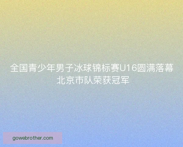 全国青少年男子冰球锦标赛U16圆满落幕 北京市队荣获冠军